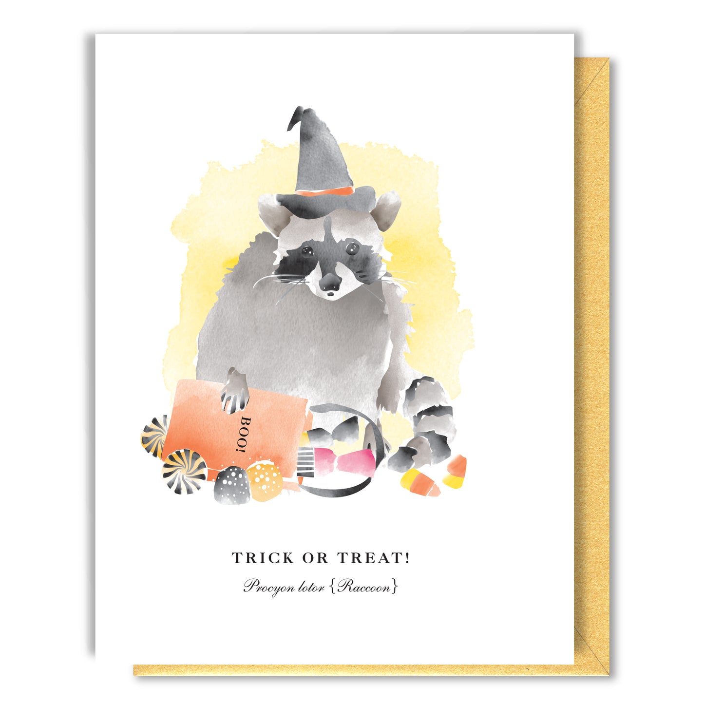 Trick Or Treat Raccoon Halloween Card