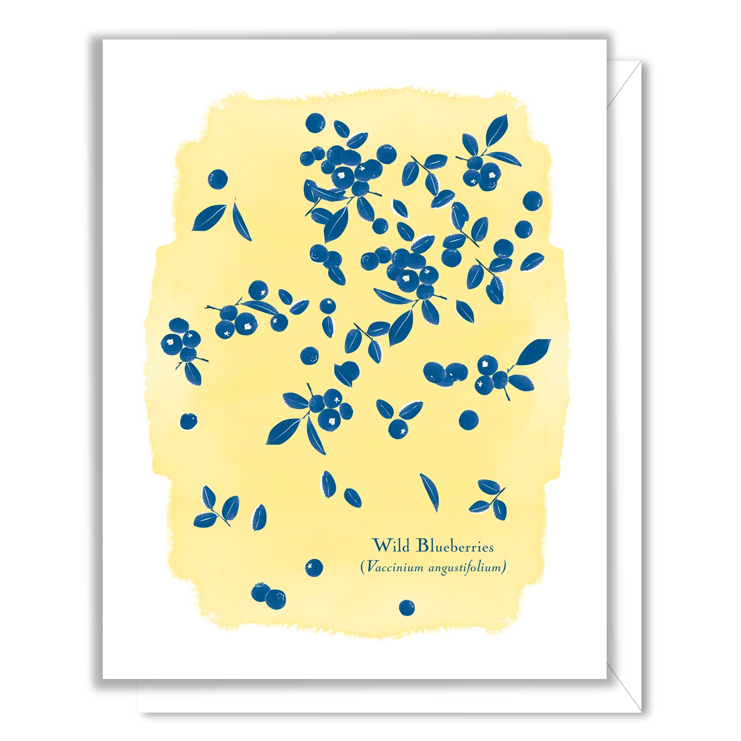 Wild Blueberries Card