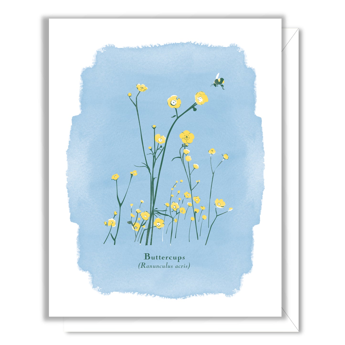 Buttercups Card