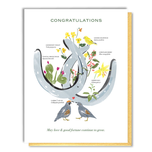 Congratulations Horseshoes Card