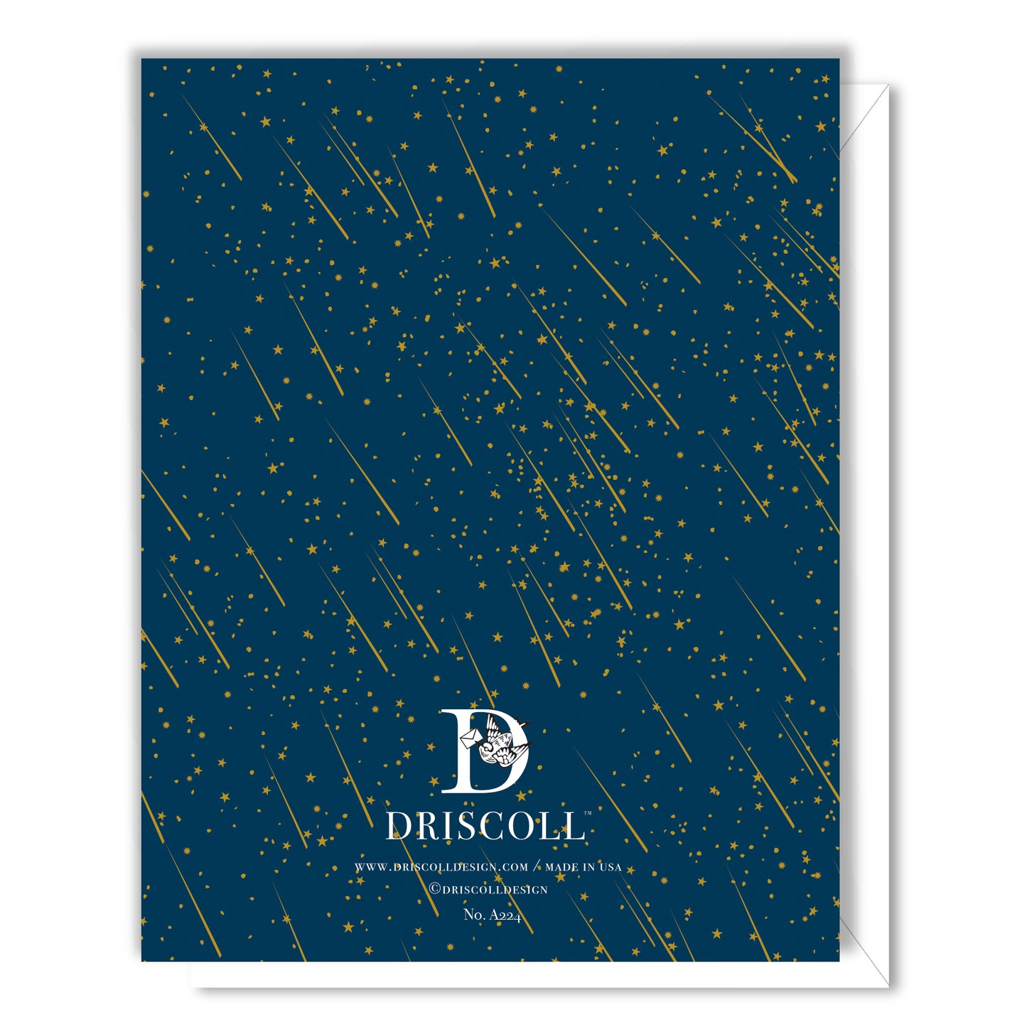 Witch Cat and Moon Halloween Card