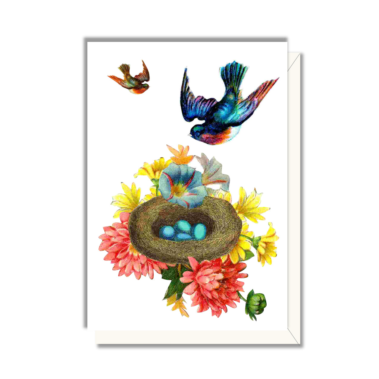 Bird Nest Enclosure Card