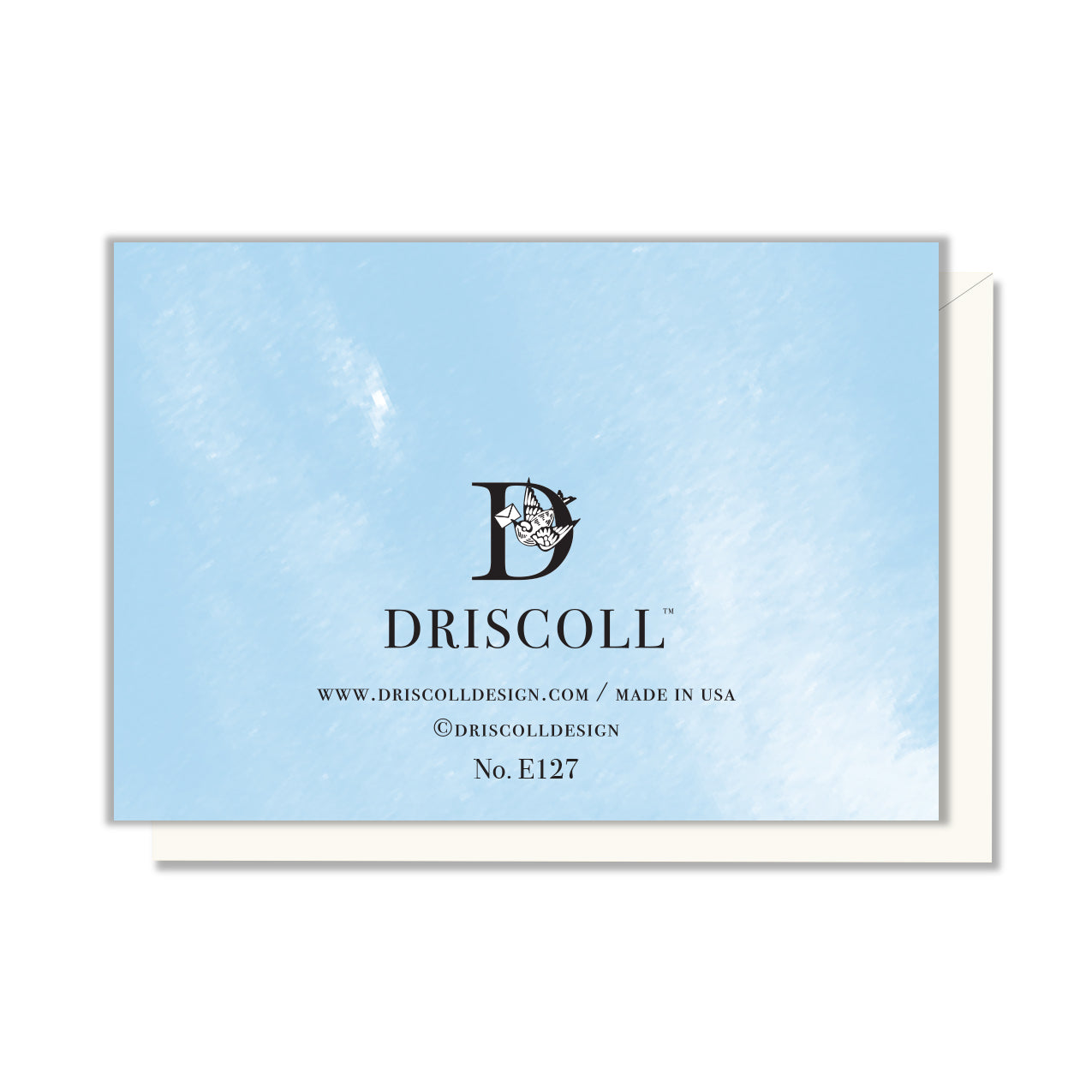 Baby Boy Nest Enclosure Card