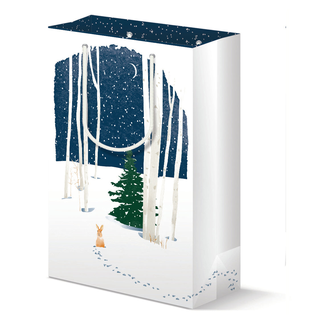 Winter Night Holiday Gift Bag