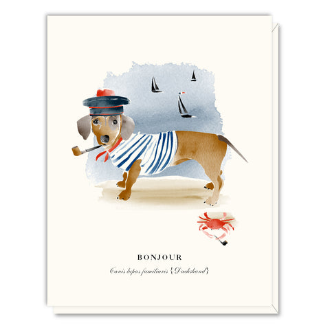 Bonjour Dachshund Sailor Card