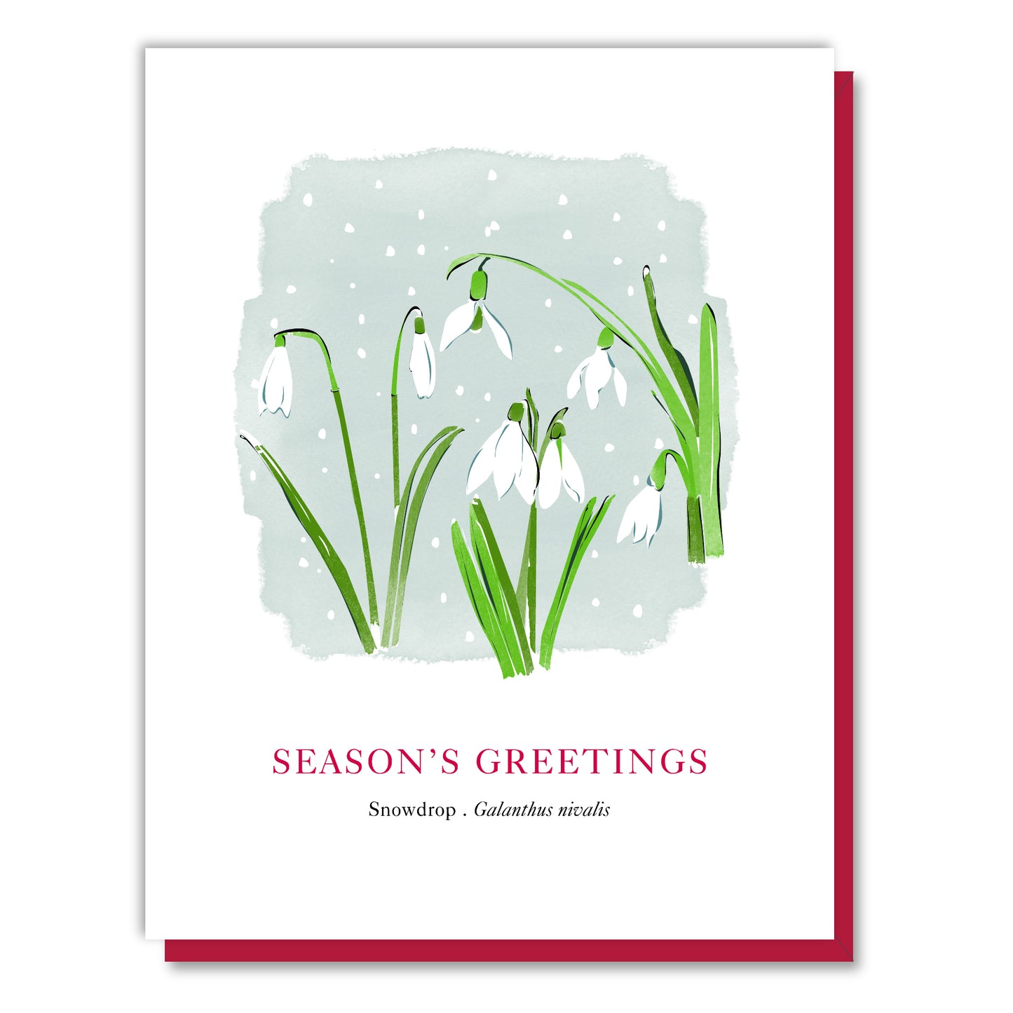 Snowdrops Card