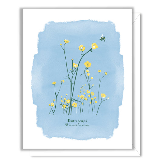 Buttercups Card