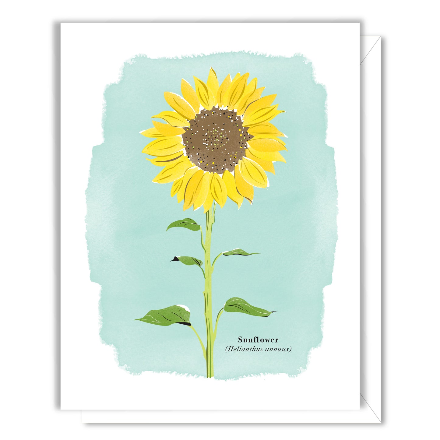 Sunflower Card
