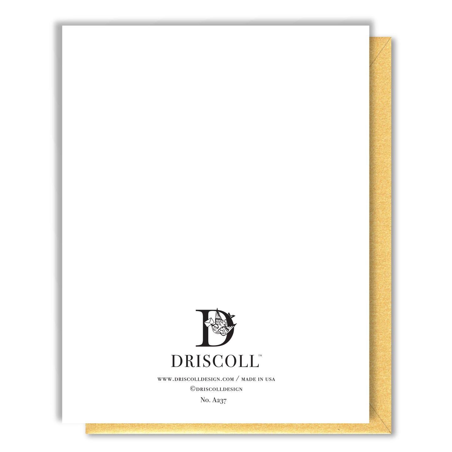 Panda Birthday Party Card