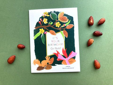 Squirrel with Almond Birthday Card