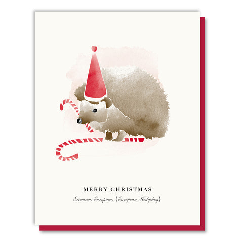 Christmas Candy Cane Hedgehog Card