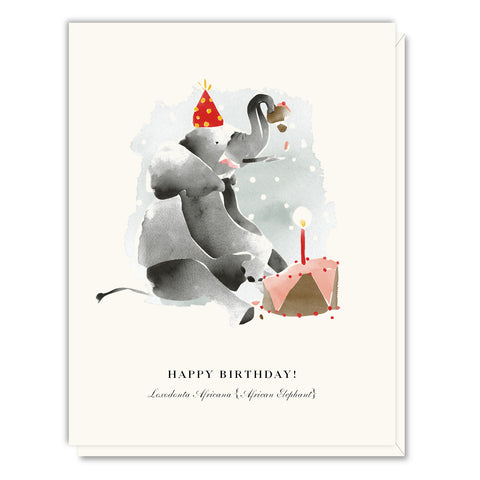 Elephant Birthday Card