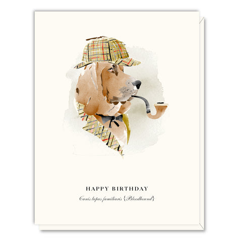 Bloodhound Birthday Card