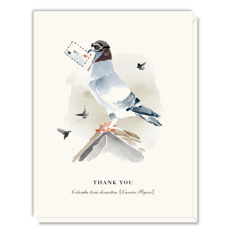 Carrier Pigeon Thank You Card