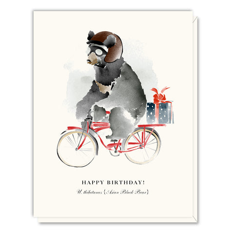 Bicycle Bear Birthday Card