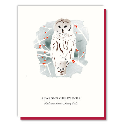 Season's Greetings Snowy Owl Card