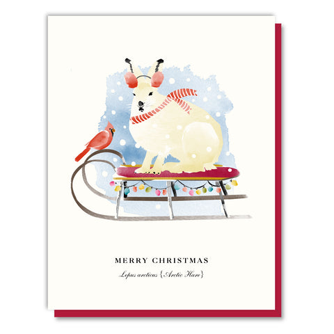 Merry Christmas Arctic Hare Sledder Card