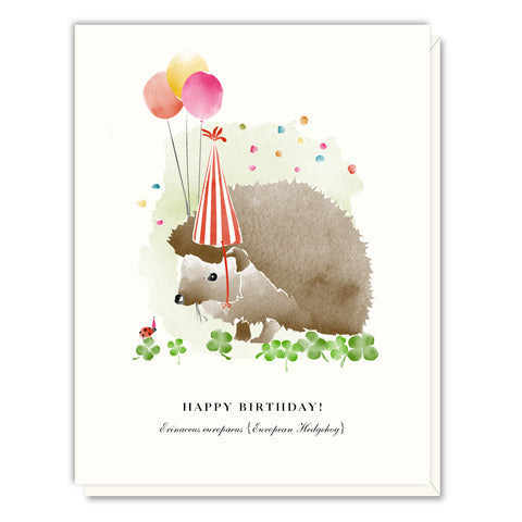 Hedgehog Birthday Card