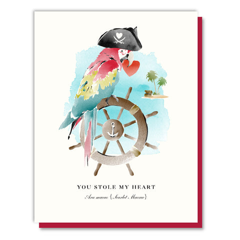 Pirate Valentine Card