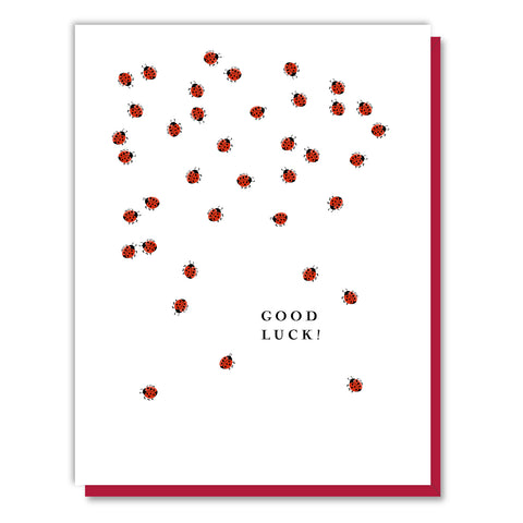 Good Luck Ladybugs Card