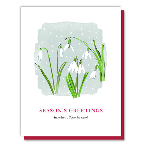 Season's Greetings Snowdrops Card
