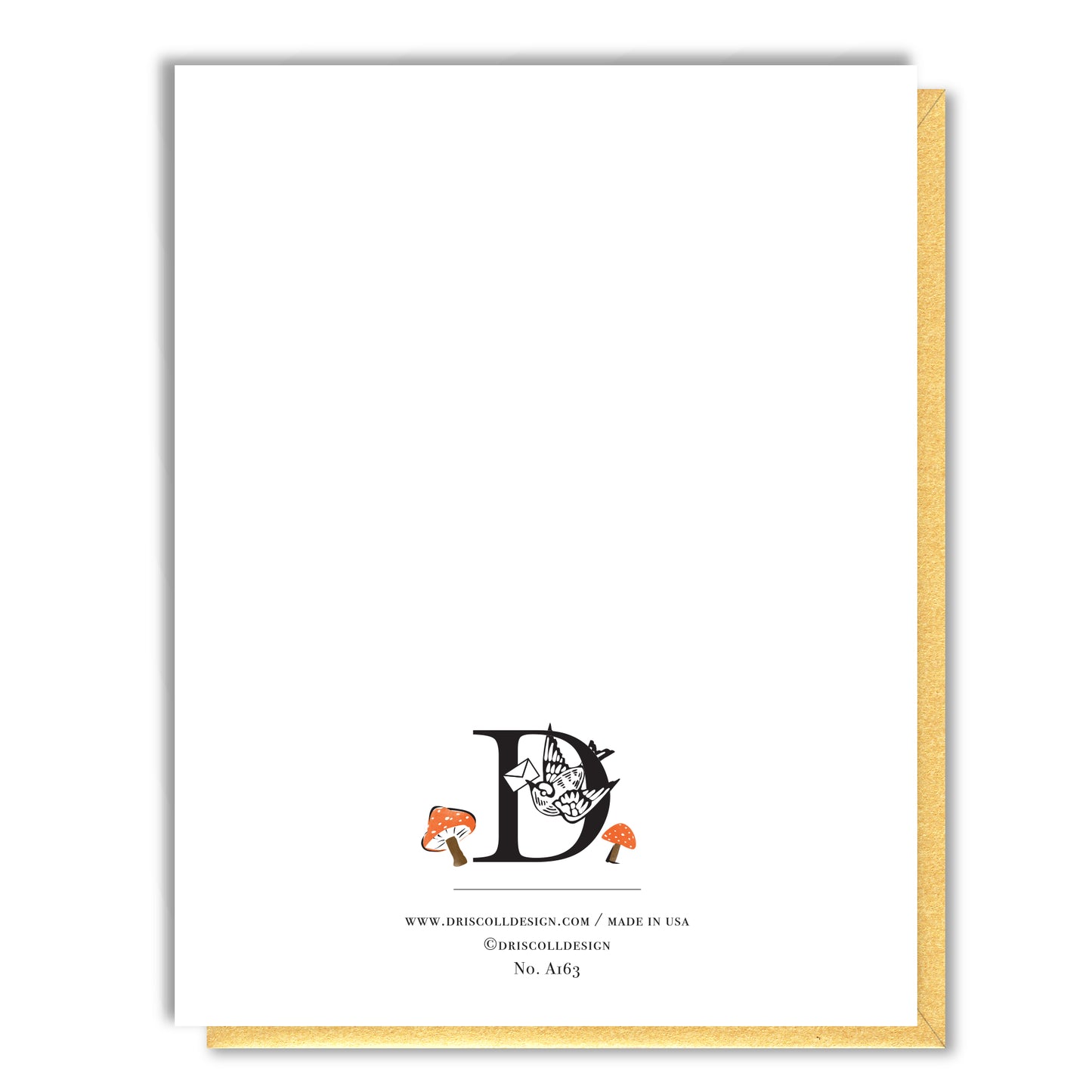 Rabbit Racer Congrats Card