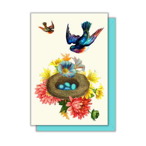 Bird Nest Enclosure Card