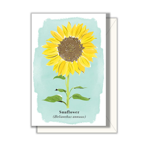 Sunflower Enclosure Card