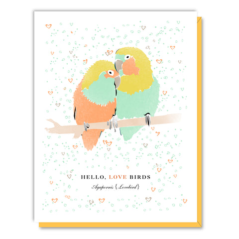 Hello Love Birds Anniversary Card